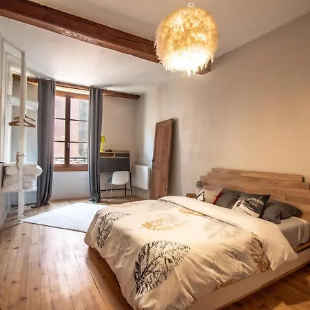 Chalet De Montagne Style Sur Le Quai Saint Laurent Et Bastille Grenoble Exterior photo