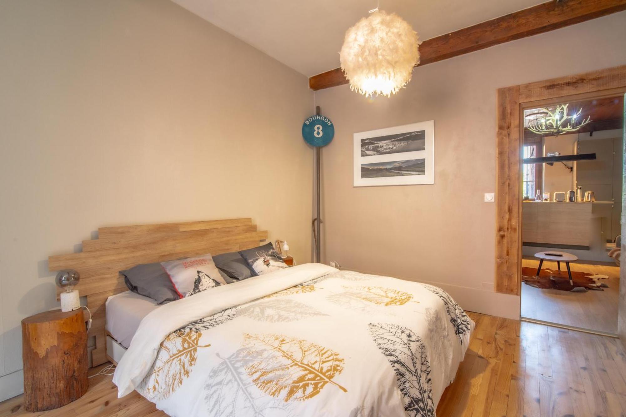 De Montagne Style Sur Le Quai Saint Laurent Et Bastille Apartment Grenoble