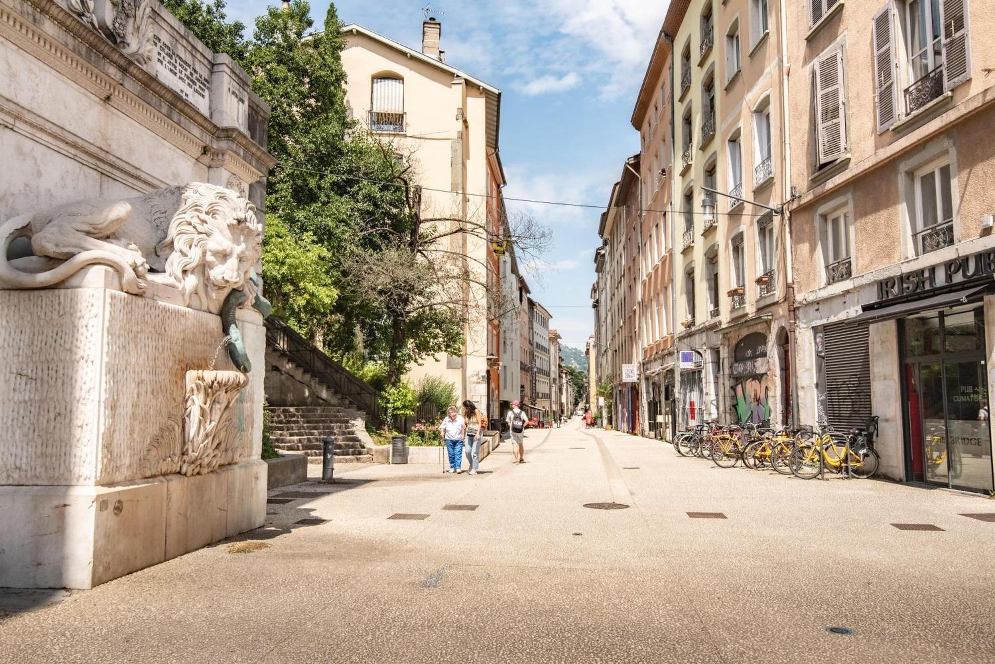 De Montagne Style Sur Le Quai Saint Laurent Et Bastille Apartment Grenoble